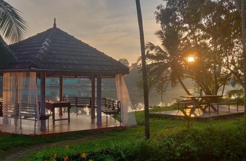 اتاق استاندارد اینتریور, Sunsets And Palm Trees