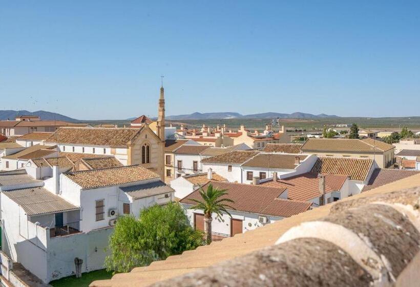 Апартаменты Пентхаус 1 Спальня, Apartamentos La Laguna