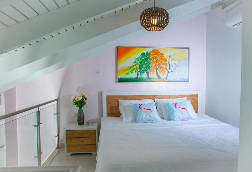 Standaard Studio, Casana