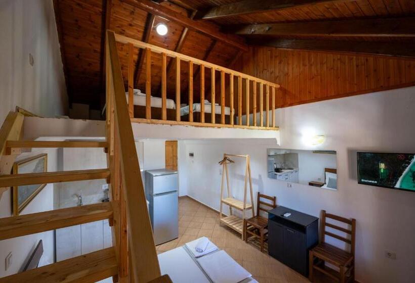 Апартаменты Дюплекс 1 Спальня, Apart Hotel Alex