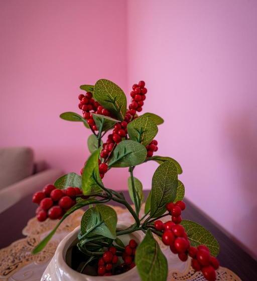 Апартаменты 1 Спальня, Apart Hotel Alex