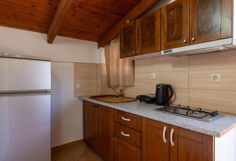 Апартаменты Пентхаус 1 Спальня, Apart Hotel Alex