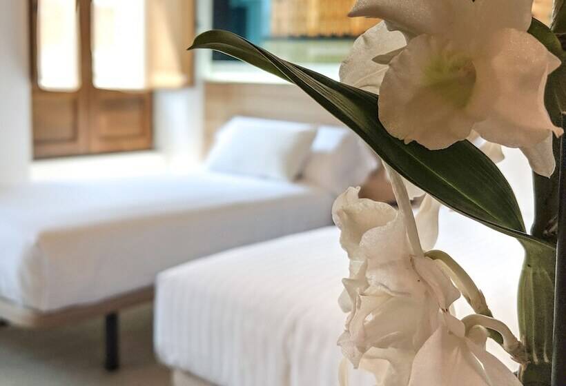 غرفة قياسية, Original Domino House