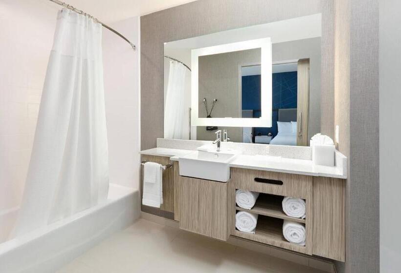 Люкс, Springhill Suites By Marriott Dallas Mansfield
