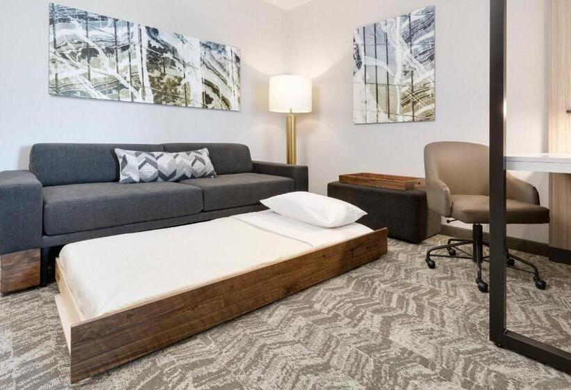 スイート, Springhill Suites By Marriott Dallas Mansfield