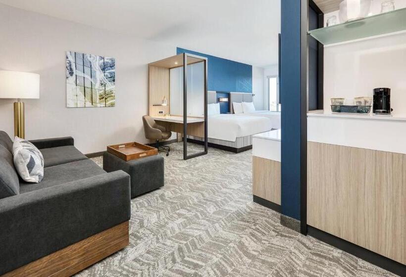 スイート, Springhill Suites By Marriott Dallas Mansfield