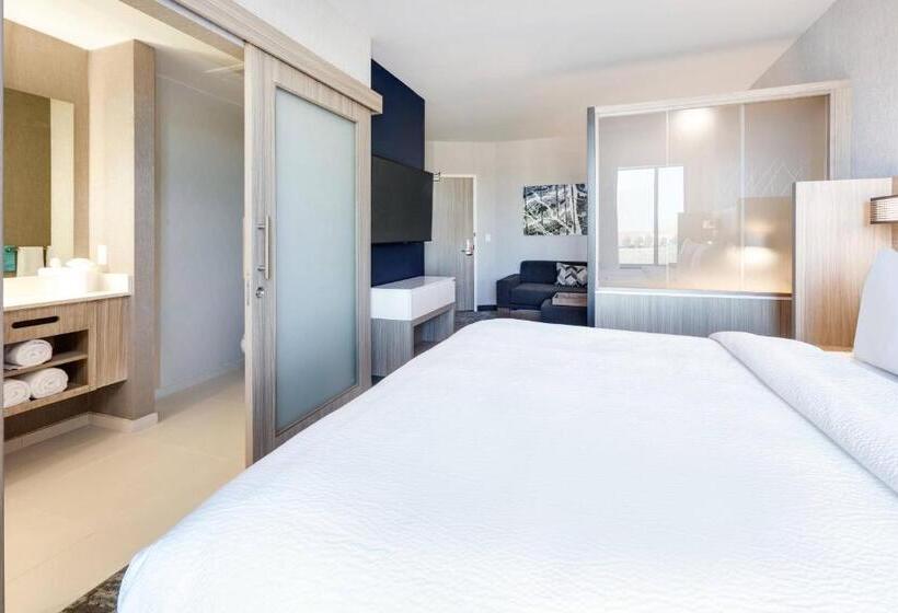 キングサイズベッドのスイートルーム, Springhill Suites By Marriott Dallas Mansfield