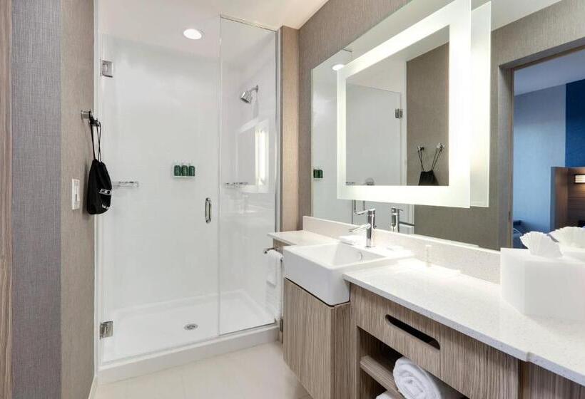 Люкс Адаптированный для Инвалидов, Springhill Suites By Marriott Dallas Mansfield