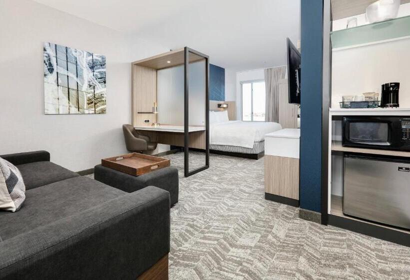 Люкс Адаптированный для Инвалидов, Springhill Suites By Marriott Dallas Mansfield