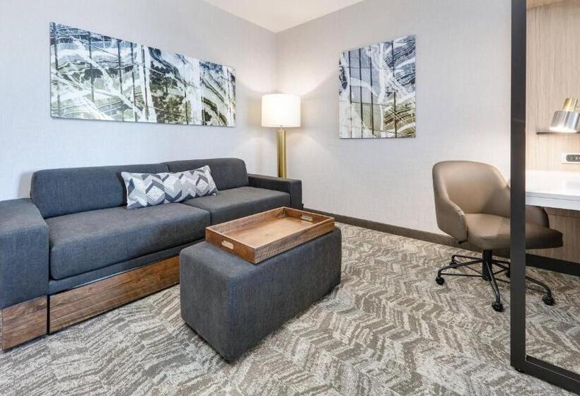 身障者適用スイートルーム, Springhill Suites By Marriott Dallas Mansfield