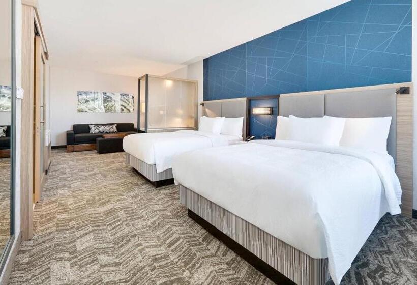 身障者適用スイートルーム, Springhill Suites By Marriott Dallas Mansfield