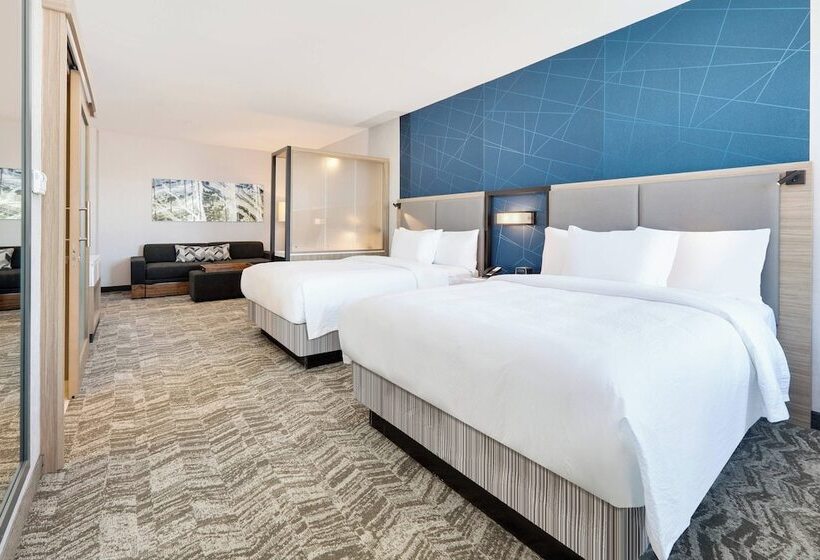 Люкс, Springhill Suites By Marriott Dallas Mansfield