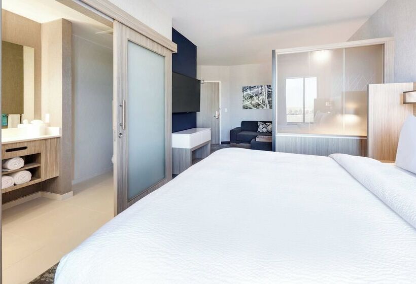 身障者適用スイートルーム, Springhill Suites By Marriott Dallas Mansfield