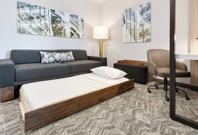 身障者適用スイートルーム, Springhill Suites By Marriott Dallas Mansfield