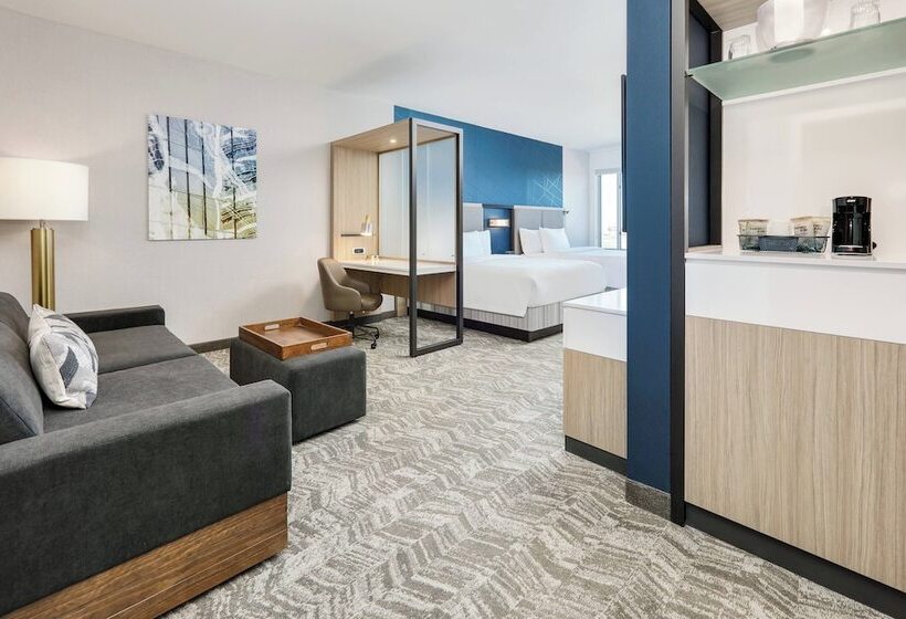 Люкс Адаптированный для Инвалидов, Springhill Suites By Marriott Dallas Mansfield