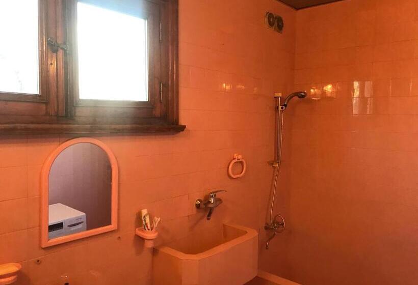 اتاق اکونومی, Wooden Museum