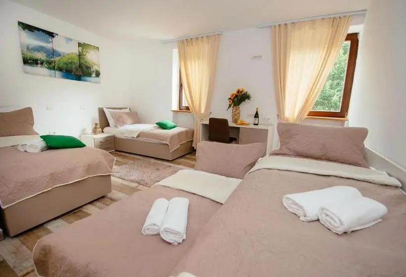 اتاق لوکس چهار تخته, Sunny Rooms