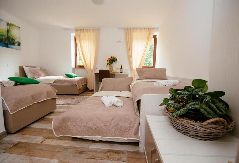 اتاق لوکس چهار تخته, Sunny Rooms