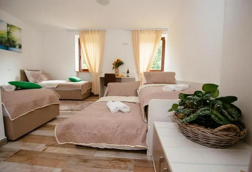 اتاق لوکس چهار تخته, Sunny Rooms
