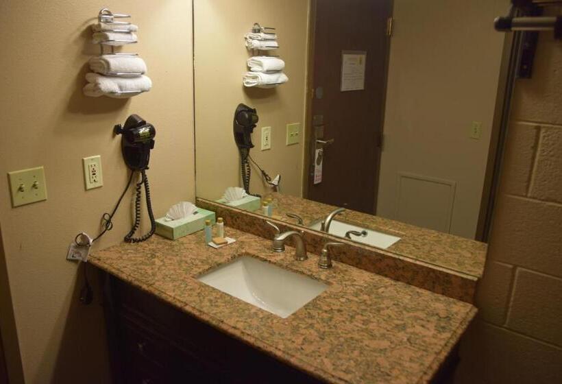 غرفة قياسية سرير كينج, 1st Choice Inn Of Rawlins