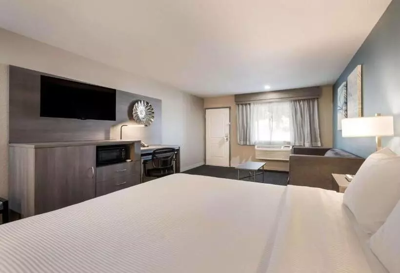 اتاق استاندارد با تخت بزرگ, Best Western Big Country Inn
