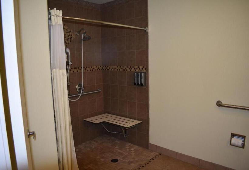 غرفة قياسية لذوى الاحتياجات الخاصة, Best Western Big Country Inn