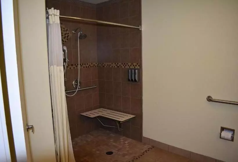 اتاق استاندارد برای معلولان, Best Western Big Country Inn