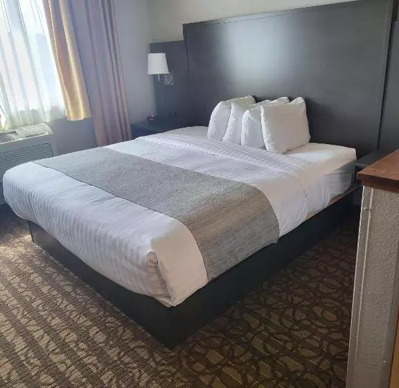 キングサイズベッドのデラックスルーム, Best Western Sawtooth Inn And Suites