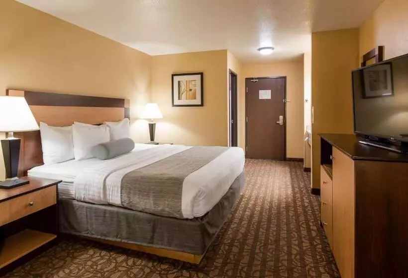 キングサイズベッドのスタンダードルーム, Best Western Sawtooth Inn And Suites