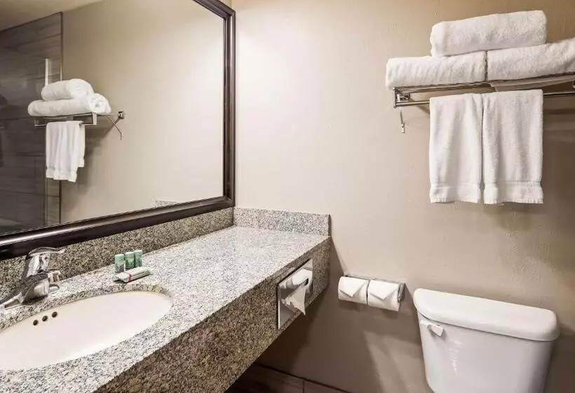 スタンダードルーム, Best Western Sawtooth Inn And Suites