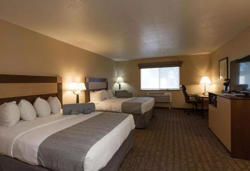スタンダードルーム, Best Western Sawtooth Inn And Suites