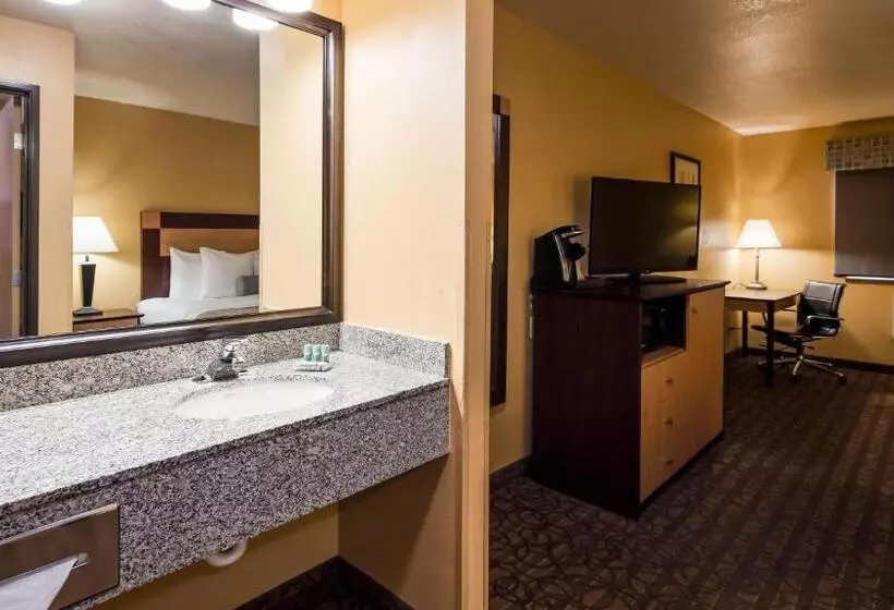 身障者適用キングサイズベッドルーム, Best Western Sawtooth Inn And Suites