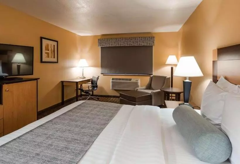 身障者適用キングサイズベッドルーム, Best Western Sawtooth Inn And Suites
