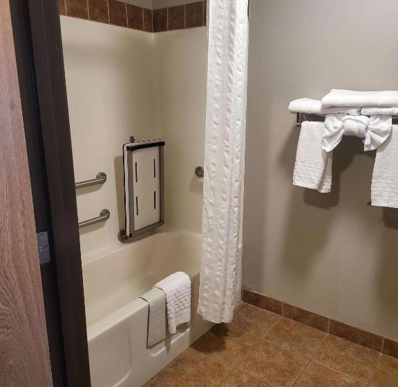 Номер Стандарт Кровать Кинг Адаптированный для Инвалидов, Best Western Sawtooth Inn And Suites