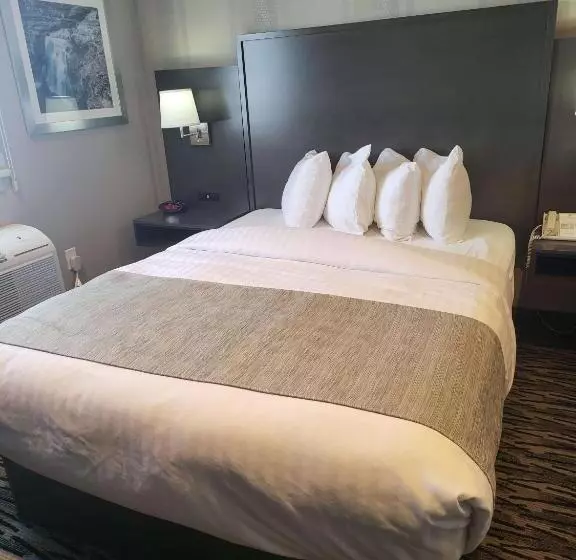 キングサイズベッドのスイートルーム, Best Western Sawtooth Inn And Suites