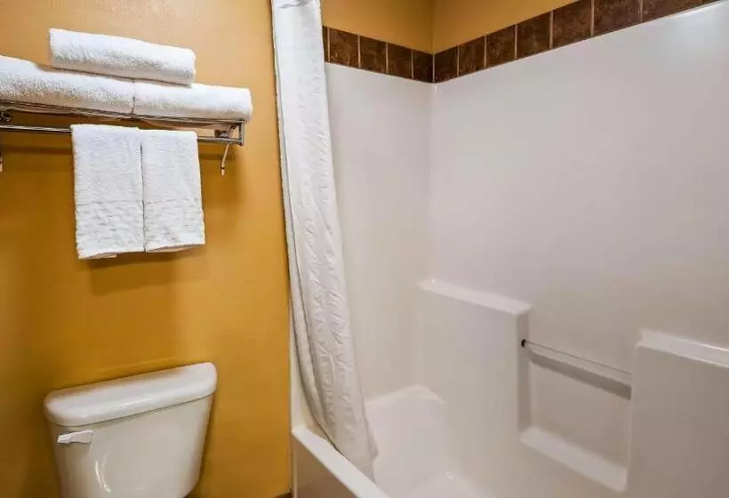 １ベッドルームアパートメント, Best Western Sawtooth Inn And Suites