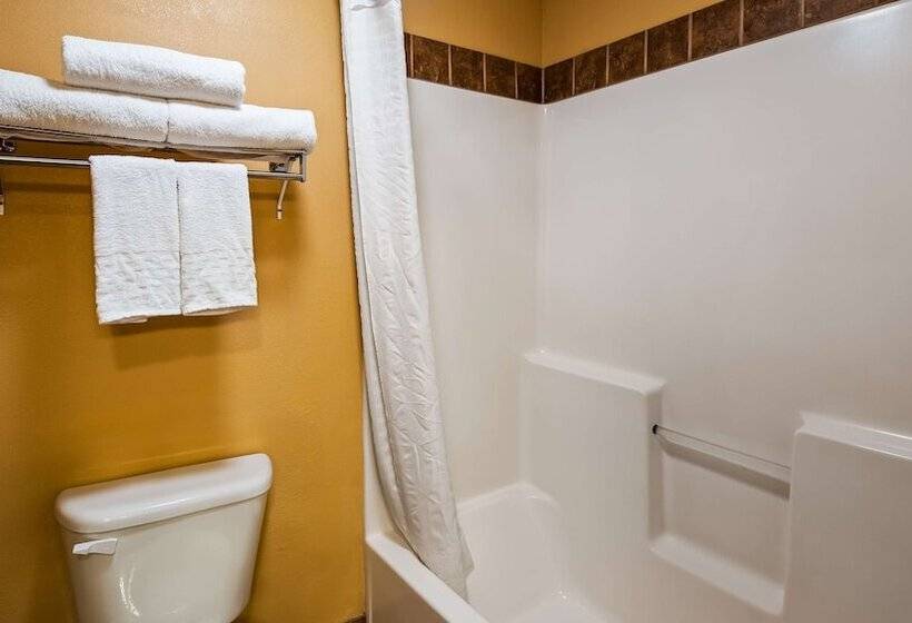 شقة غرفة واحدة, Best Western Sawtooth Inn And Suites