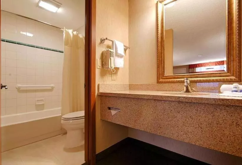 اتاق استاندارد برای معلولان, Best Western Shadow Inn