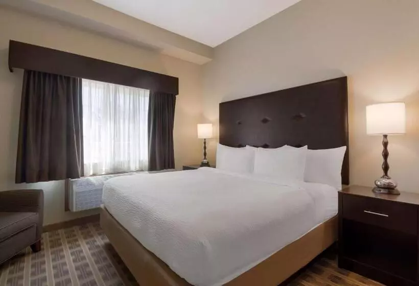 キングサイズベッドのスイートルーム, Best Western University Inn And Suites