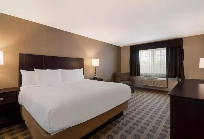 キングサイズベッドのスタンダードルーム, Best Western University Inn And Suites
