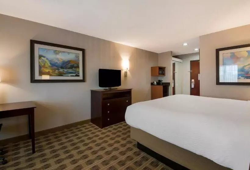 キングサイズベッドのスタンダードルーム, Best Western University Inn And Suites