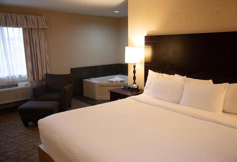 Стандартный Номер Кровать Кинг, Best Western University Inn And Suites