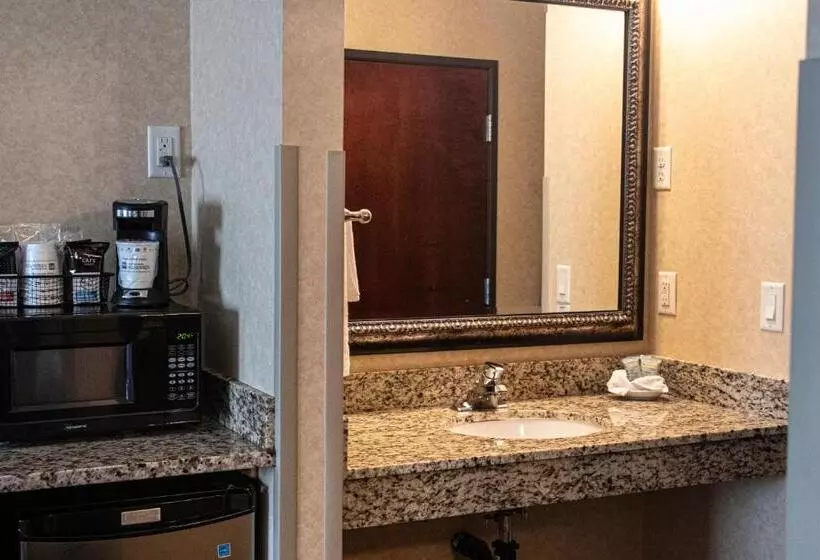 身障者適用キングサイズベッドルーム, Best Western University Inn And Suites