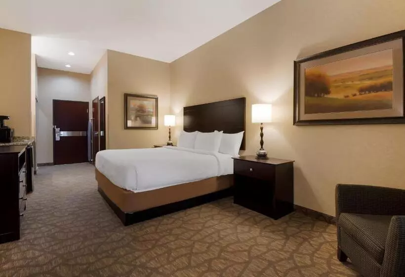 身障者適用キングサイズベッドルーム, Best Western University Inn And Suites