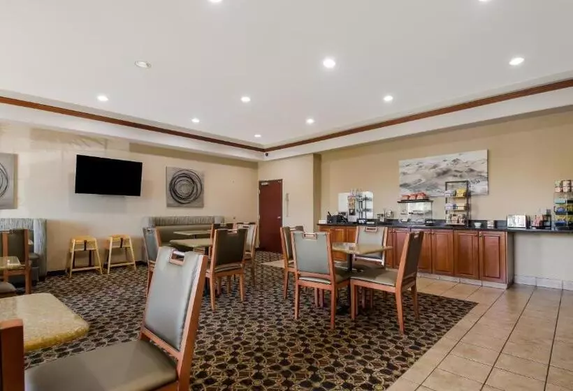 身障者適用キングサイズベッドルーム, Best Western University Inn And Suites