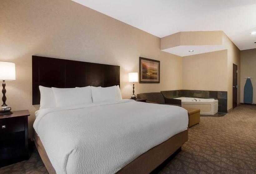 Номер Стандарт Кровать Кинг Адаптированный для Инвалидов, Best Western University Inn And Suites