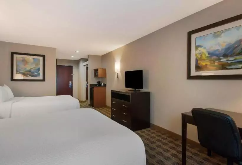 スイート, Best Western University Inn And Suites