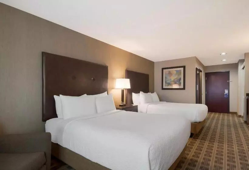 スイート, Best Western University Inn And Suites