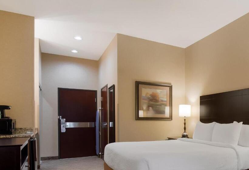 Номер Стандарт Адаптированный для Инвалидов, Best Western University Inn And Suites