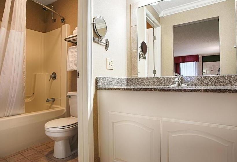 חדר דחוקס עם מיטת קינג, Best Western Wilderness Trail Inn